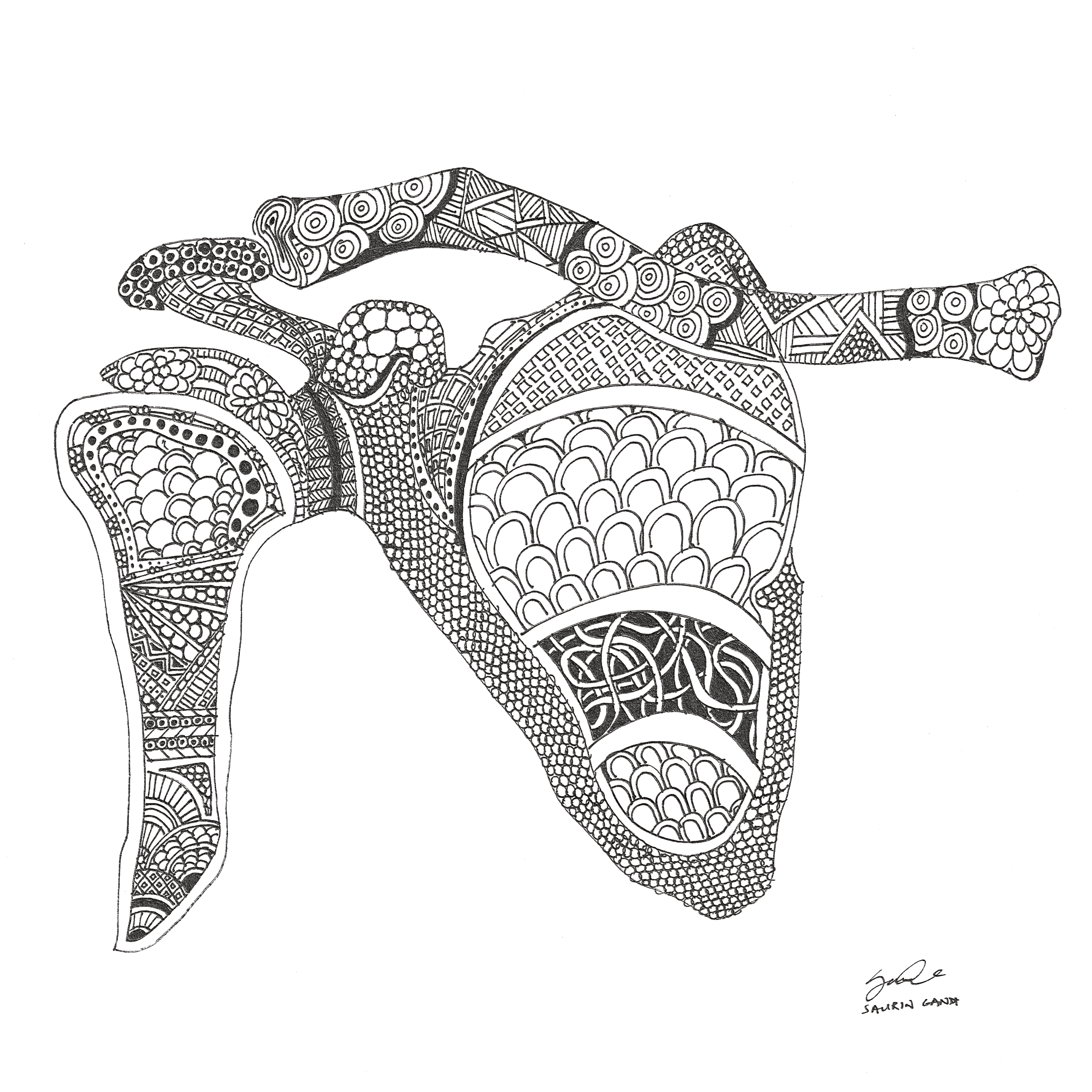 Orthopedic Surgery — Shop — The Doctor Doodles